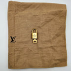 Louis Vuitton Speedy 25 Monogram