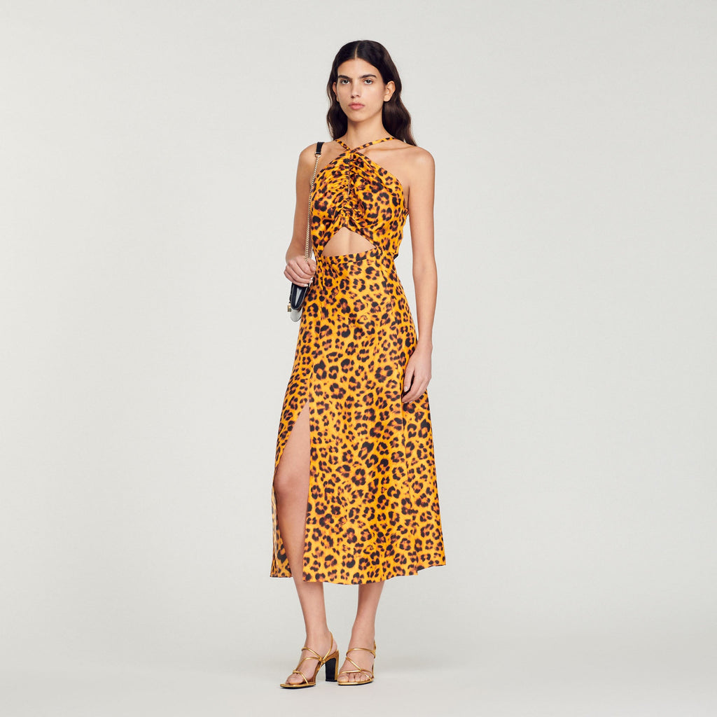 Long Dress with Leopard Print