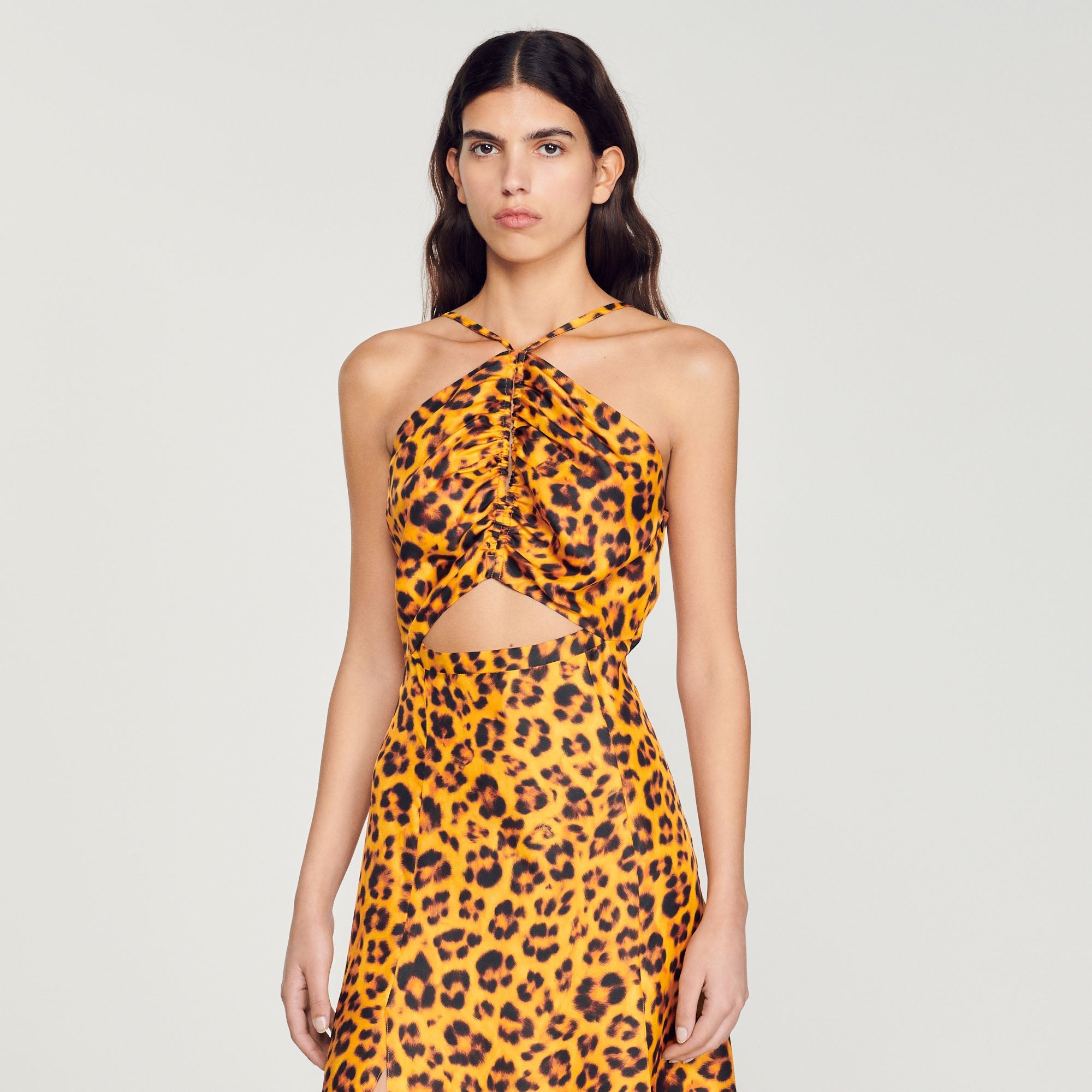 Long Dress with Leopard Print