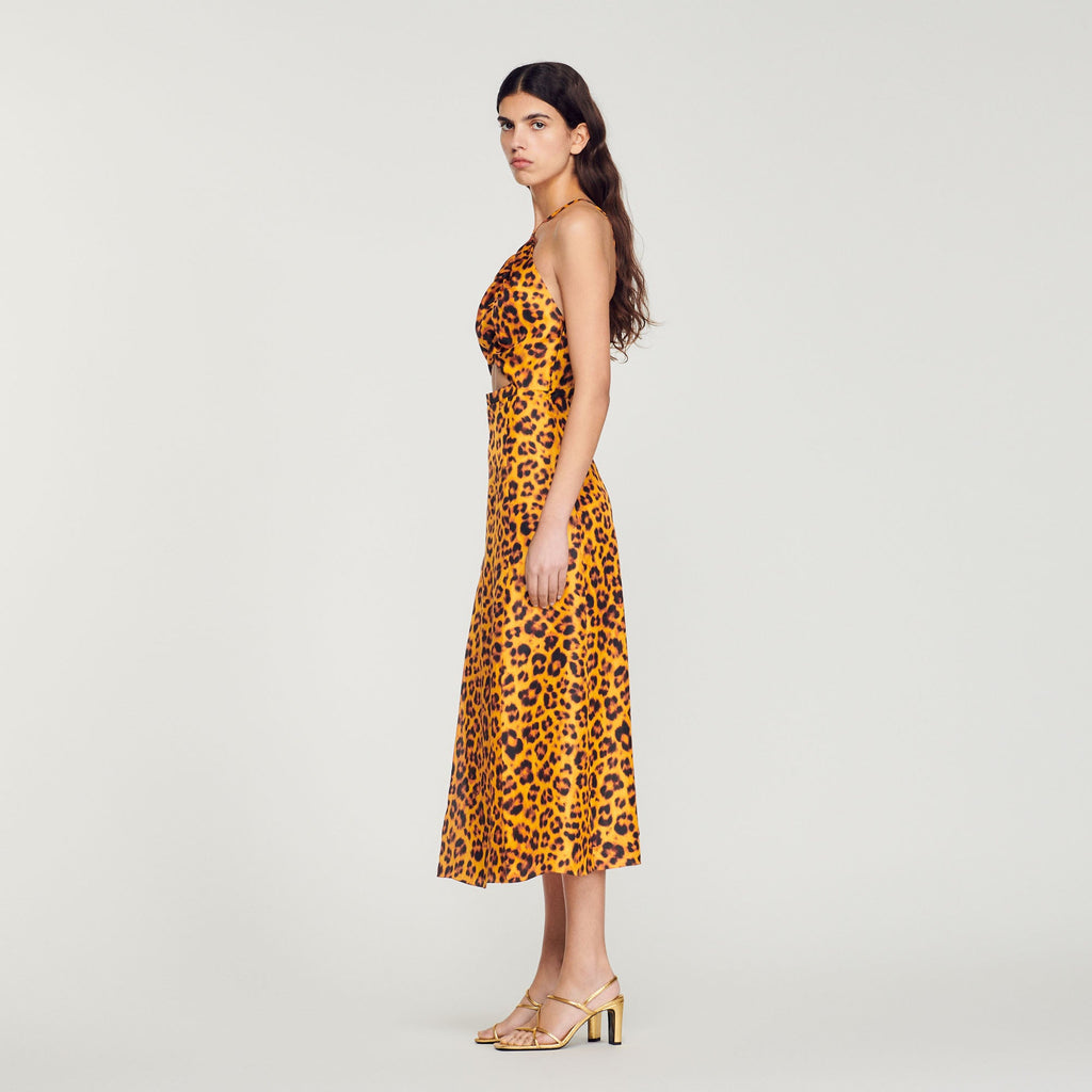 Long Dress with Leopard Print