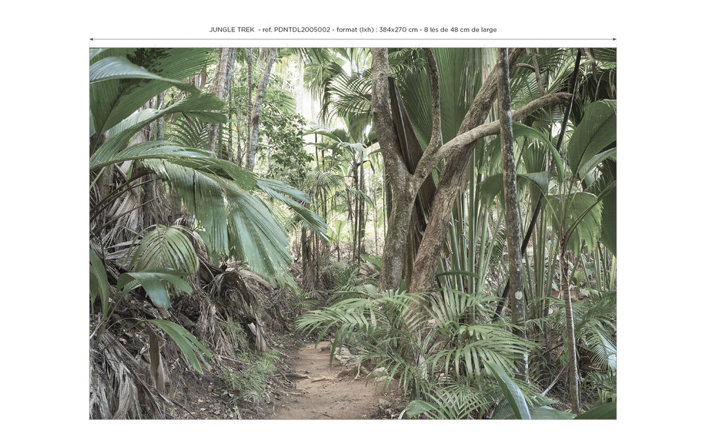 Panoramic Wallpaper - Jungle Trek - Green