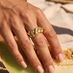Anillo de meteorito