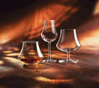 Open Up - 6 Open'Up Ardent Cognac Stemmed Glasses - 39cl - Chef&Sommelier
