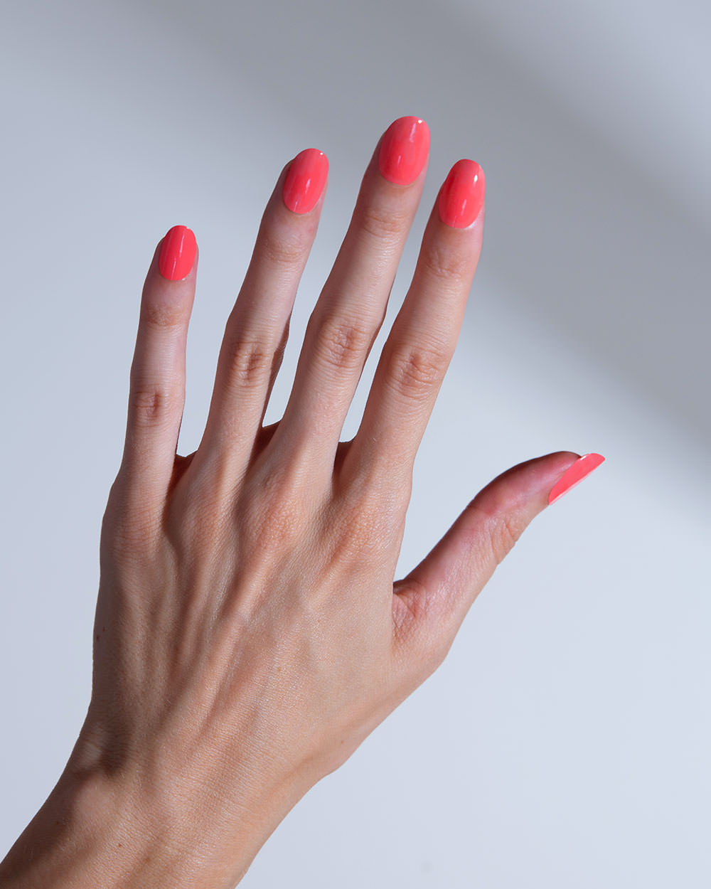 Coral vivo UV