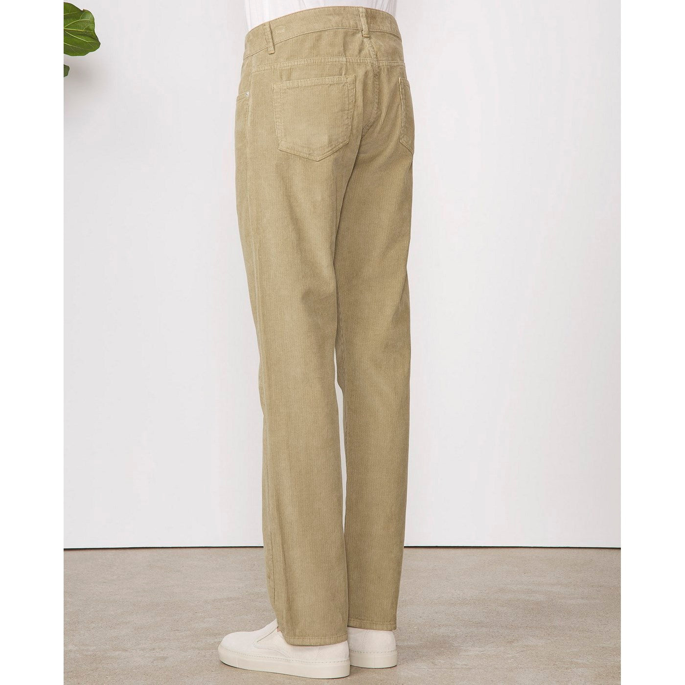 James Jeans - Caqui - Hombre