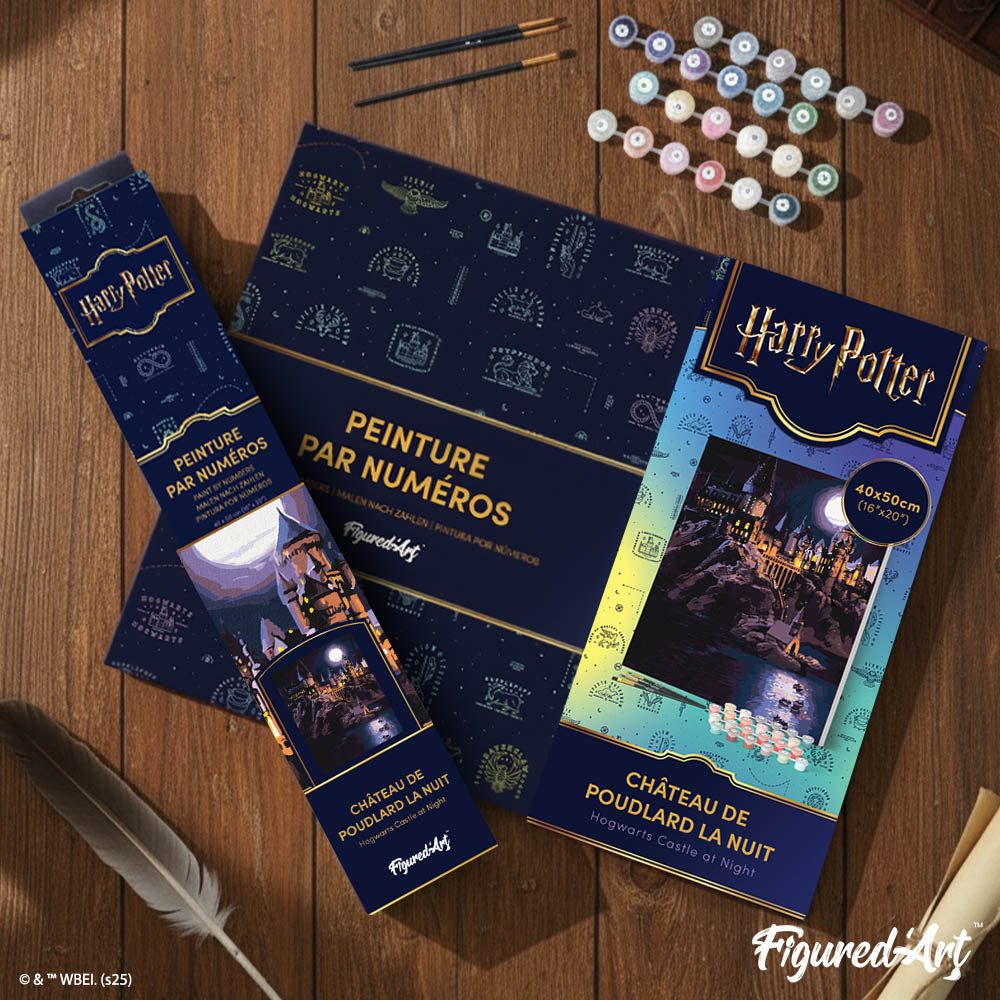 Peinture Par Numéros - Harry Potter - Château De Poudlard La Nuit