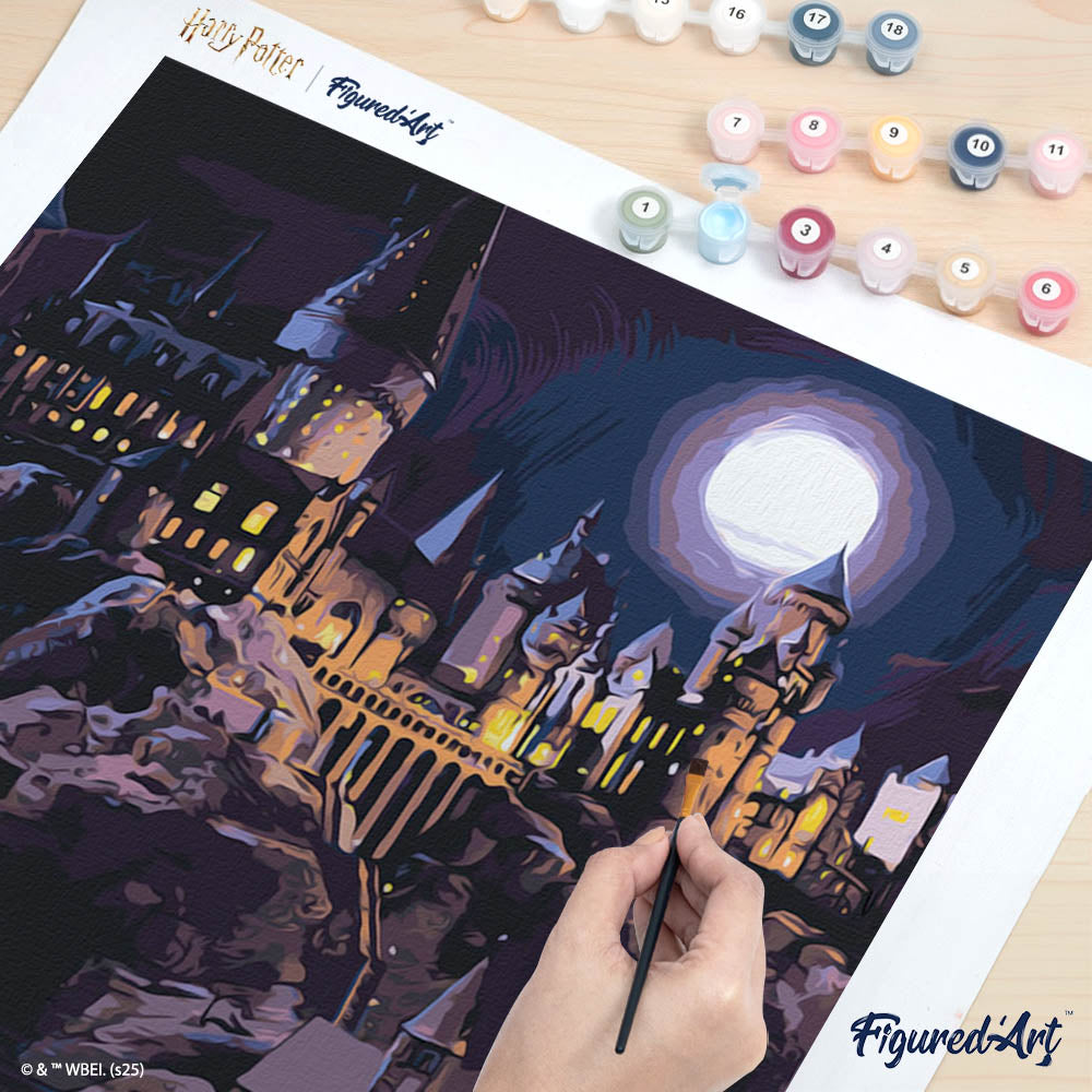 Peinture Par Numéros - Harry Potter - Château De Poudlard La Nuit