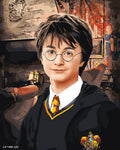 Paint By Numbers - Harry Potter Portrait