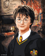 Paint By Numbers - Harry Potter Portrait