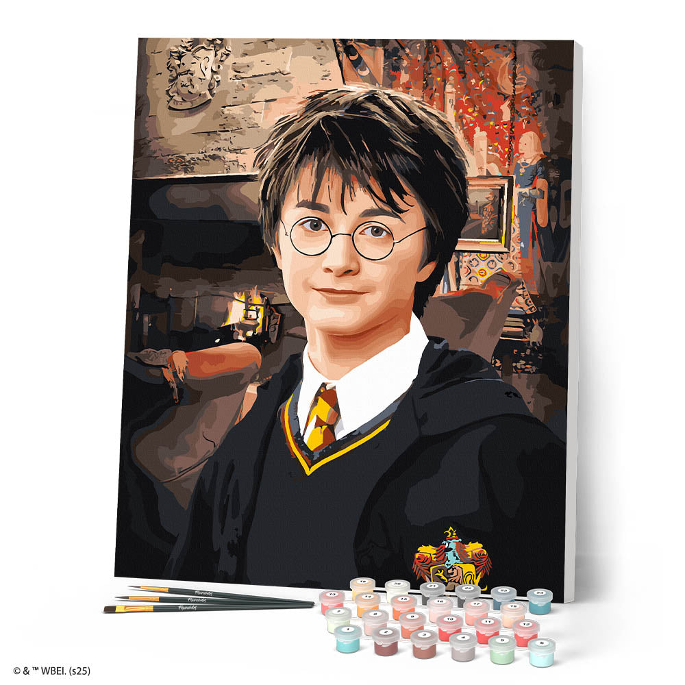 Paint By Numbers - Harry Potter Portrait