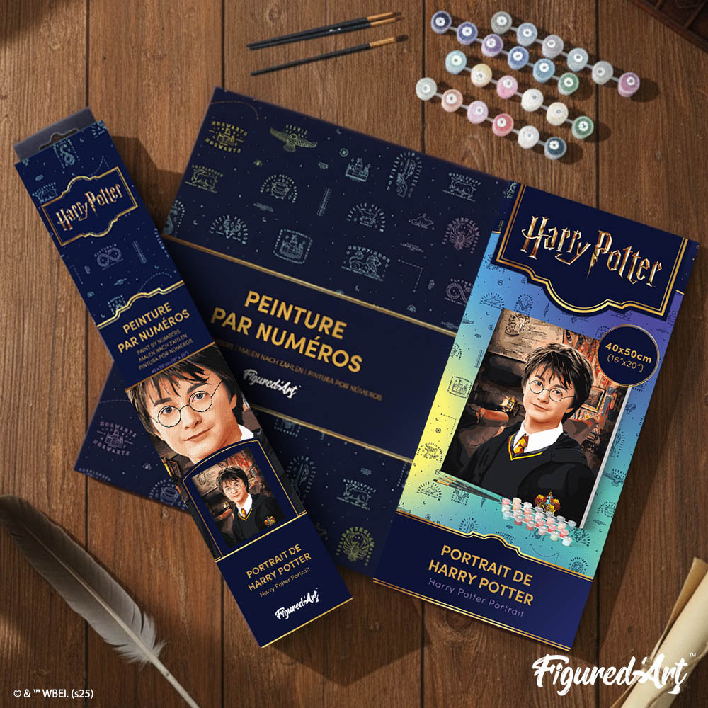 Paint By Numbers - Harry Potter Portrait
