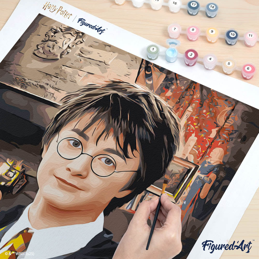 Paint By Numbers - Harry Potter Portrait
