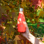Bouteille Isotherme En Acier Inoxydable - 26cl - Orange