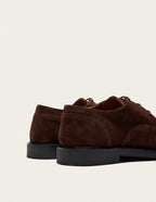 Derbies Norin - Suède Marron - Homme