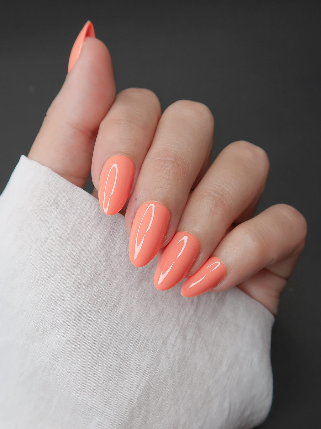Warm Apricot