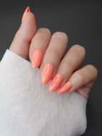 Warm Apricot