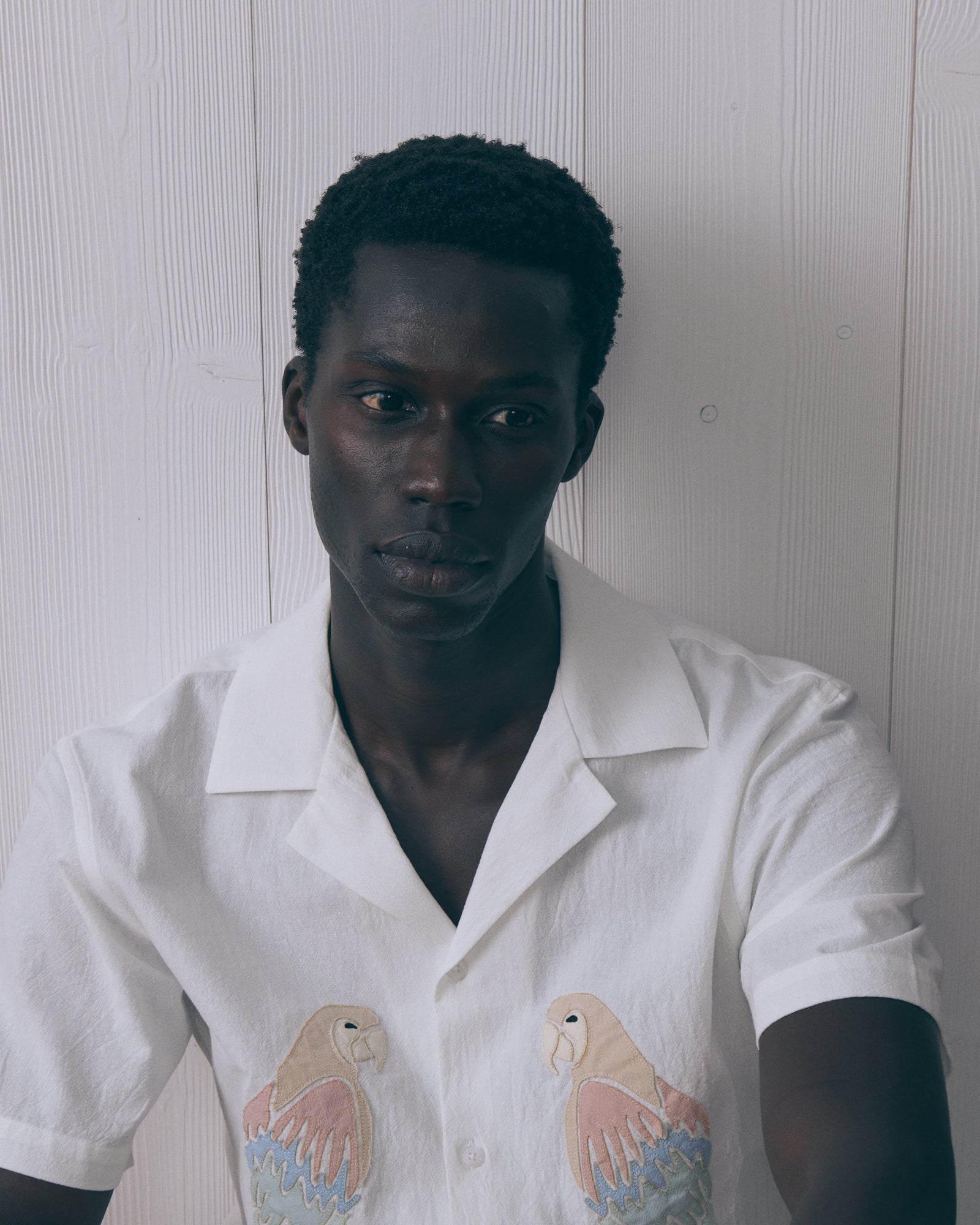 Parrots "Linen And Cotton" Morney Shirt