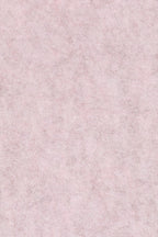 Thirsty - Set of 2 Dining Room Armchairs - Recycled Plastic - Pale Pink
