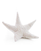 The Starfish