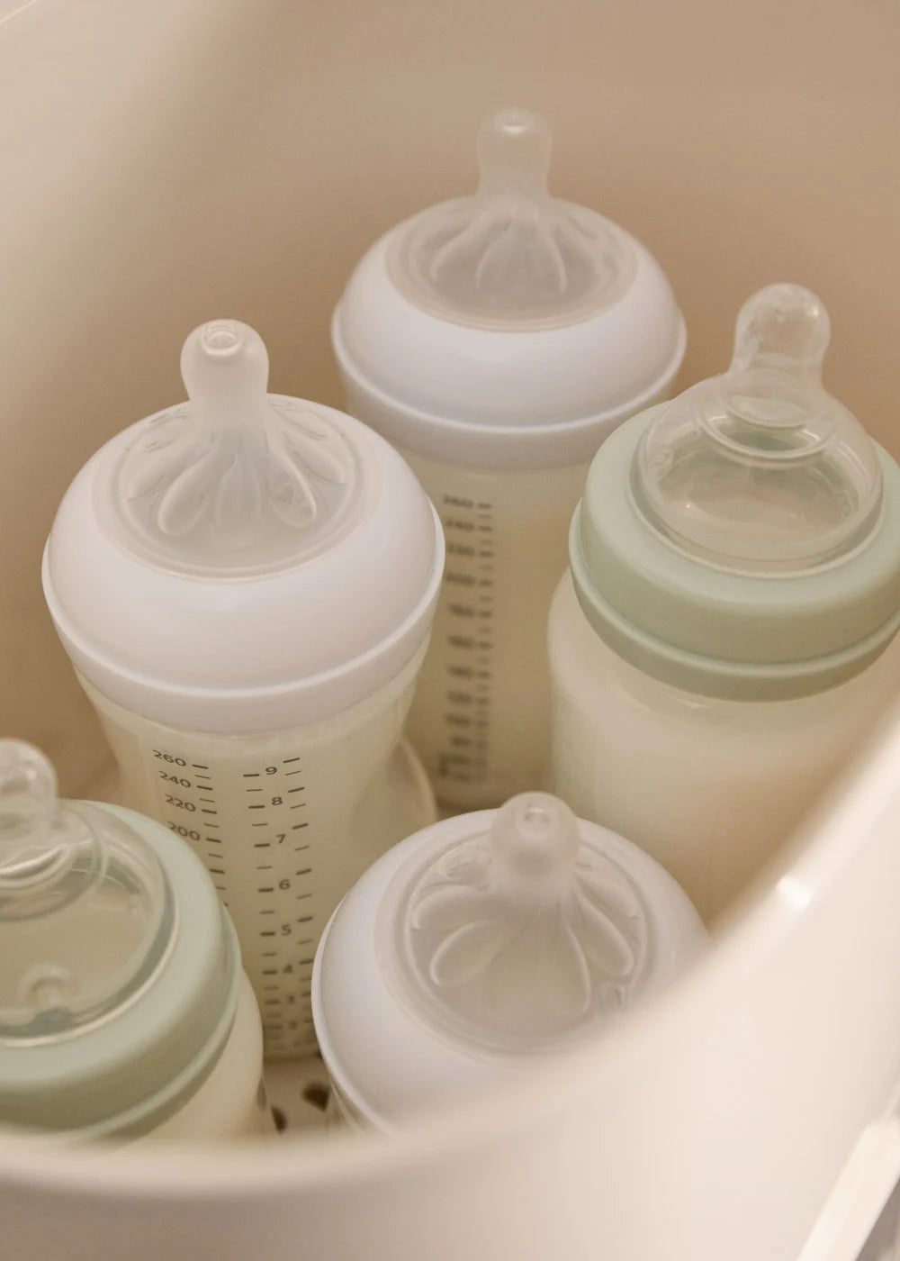 Baby Bottle Care - Multifunction Steriliser with Drying for 8 Bottles - Off-White