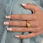 Anillo de meteorito