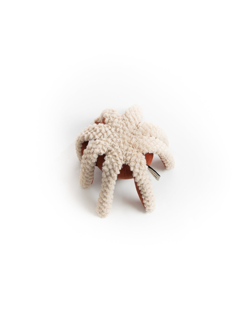The Mini Octopus