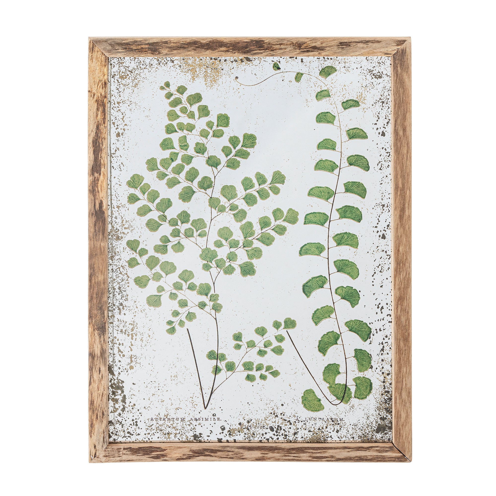 Tipper - Ilustración Enmarcada - Verde - Abeto