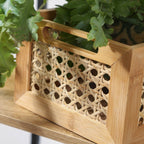 Small Model Box - Bamboo & Rattan