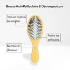 Anti-Dandruff & Itch Brush [Th]