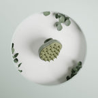 Brosse Massante BiodéGradable