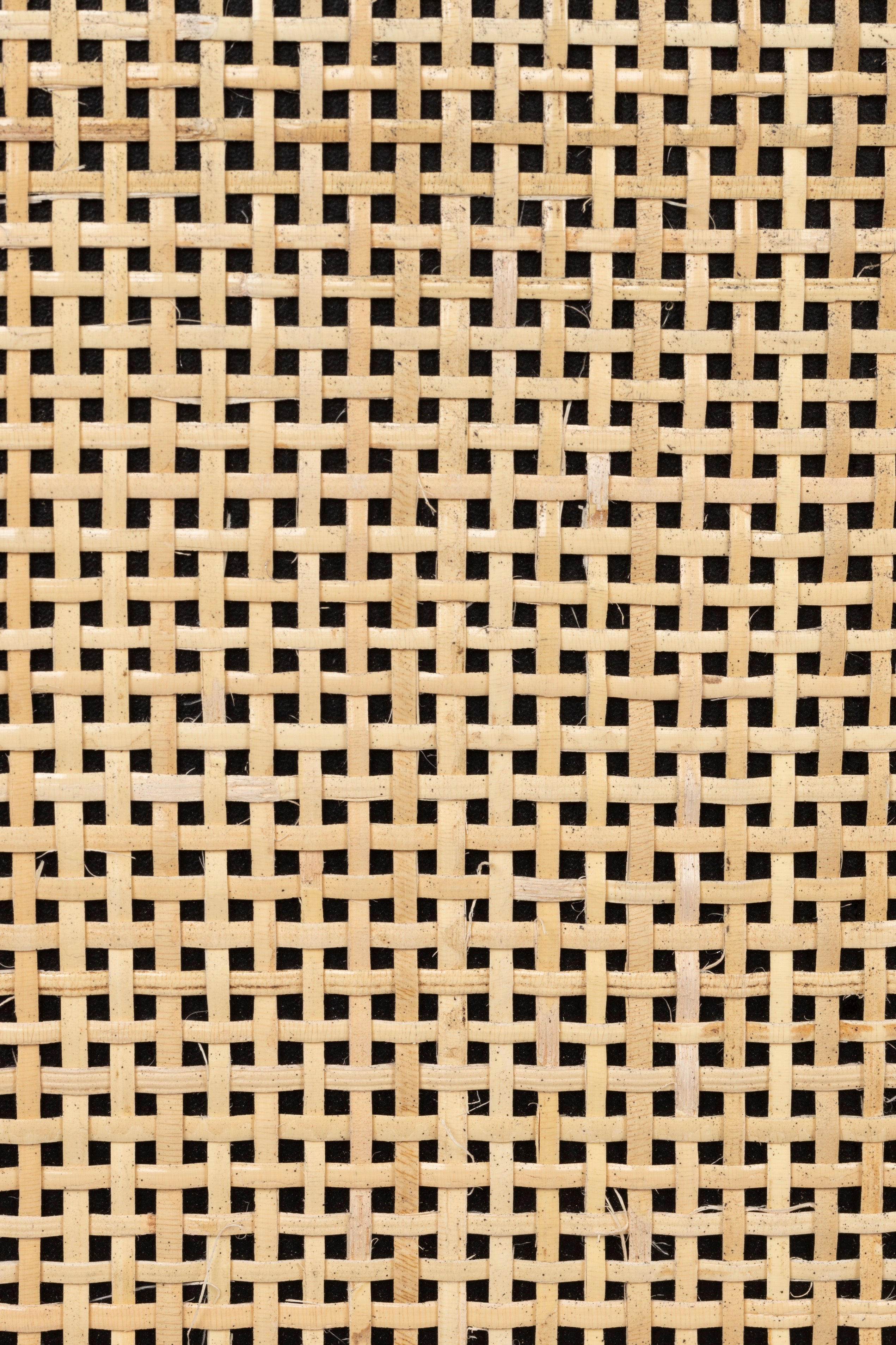 Guuji Bas 2Do - Wardrobe - MDF - Black