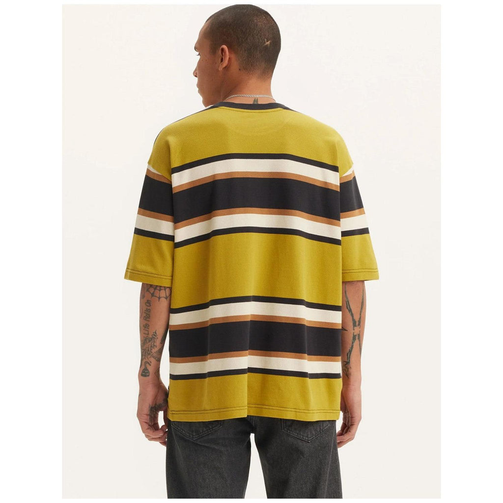 Levi's Skate Graphic Box T-Shirt