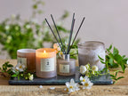 No. 2 - Green Gardenia - Vela Perfumada - Rosa Empolvado - Cera Natural