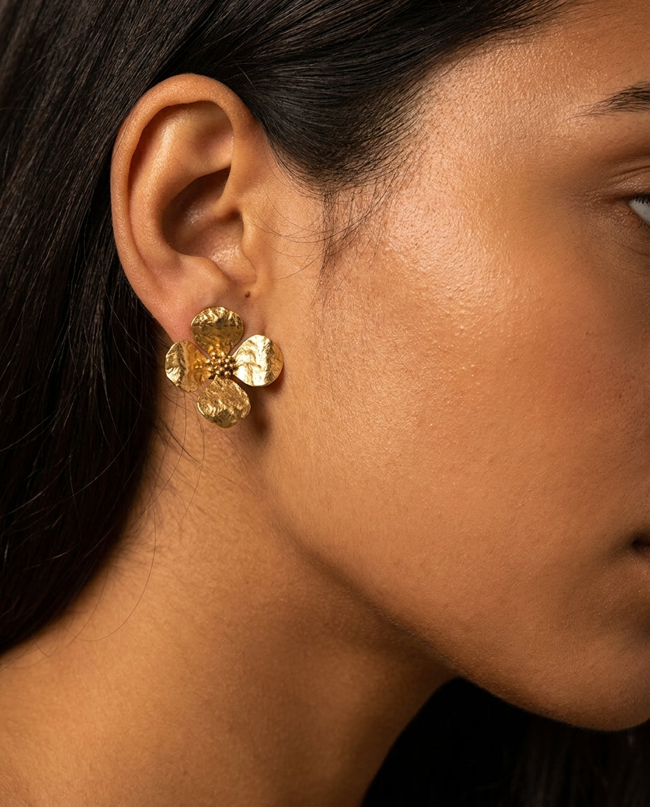 Boucles D'Oreilles Cyrel