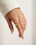 Anillo Velaria