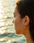 Sea Star Earrings