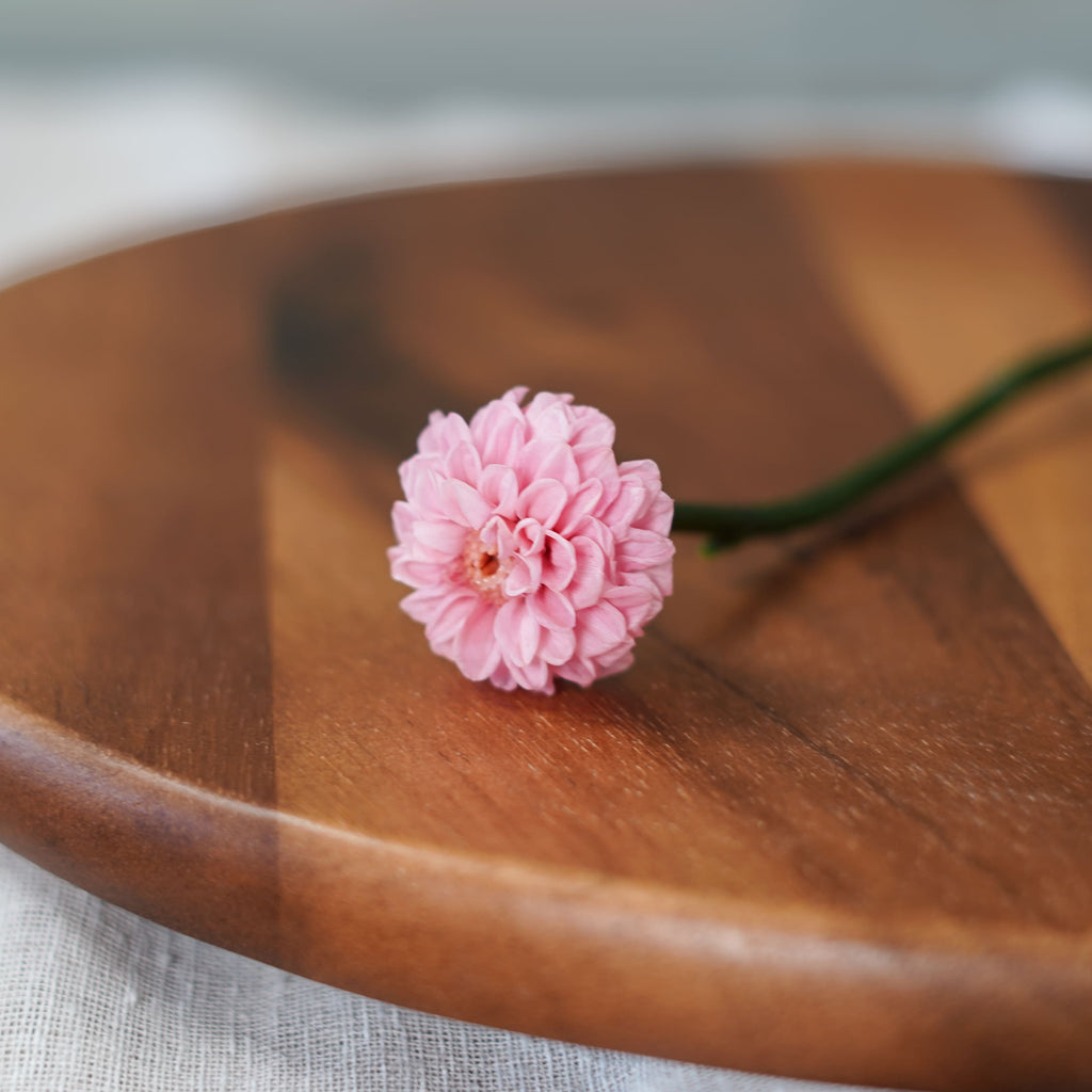 Dahlia Stabilisé Rose Pâle