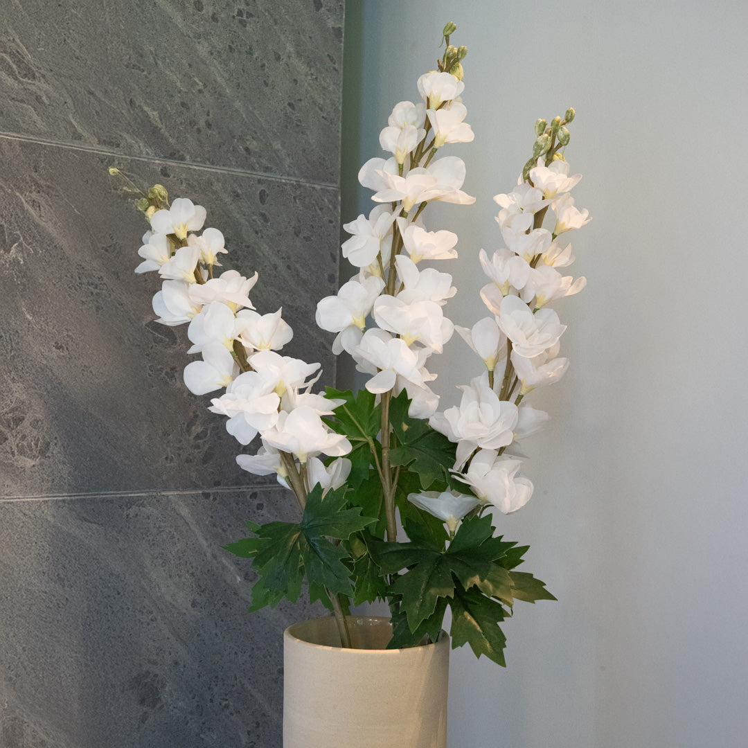 Delphinium Blanc