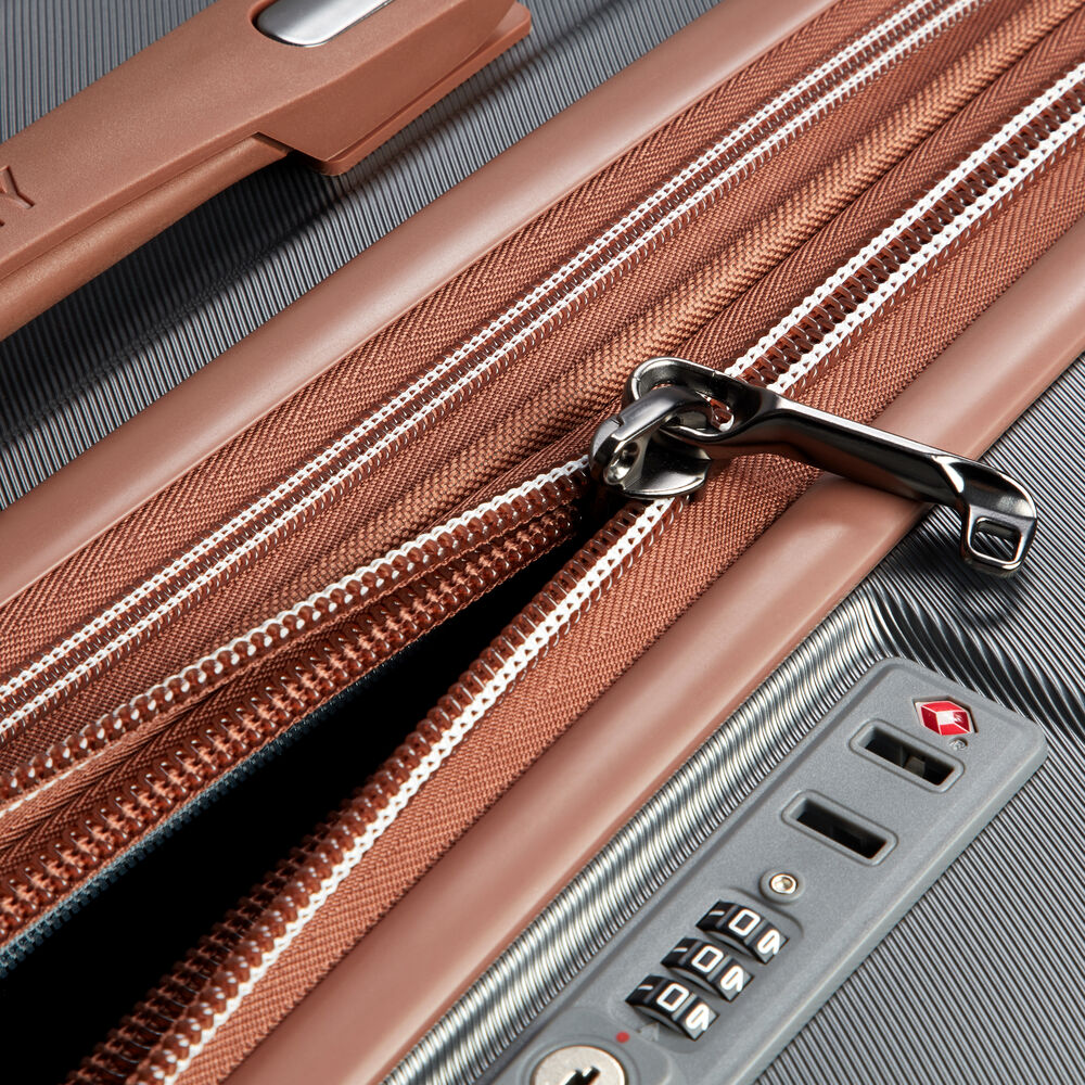 Large Suitcase (76 cm) Carrousel 2 - Silver