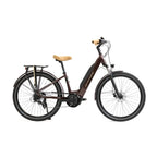 E-Absolute 34+ Active + 400W - Bordeaux