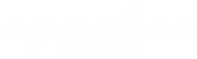 https://visuals.wollnessbetter.shop/operations/019f84d0-9244-7070-ad32-5779b7f580da/visuals/LOGO/e65b78d1-080e-4261-80f8-3f6d574fec58.png