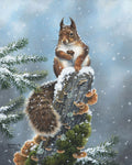 Paint By Numbers - Perched Squirrel
