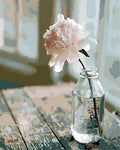 Peinture Par Numéros - Fleur Blanche