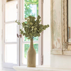 Eucalyptus Cinerea En Papier Vert Olive
