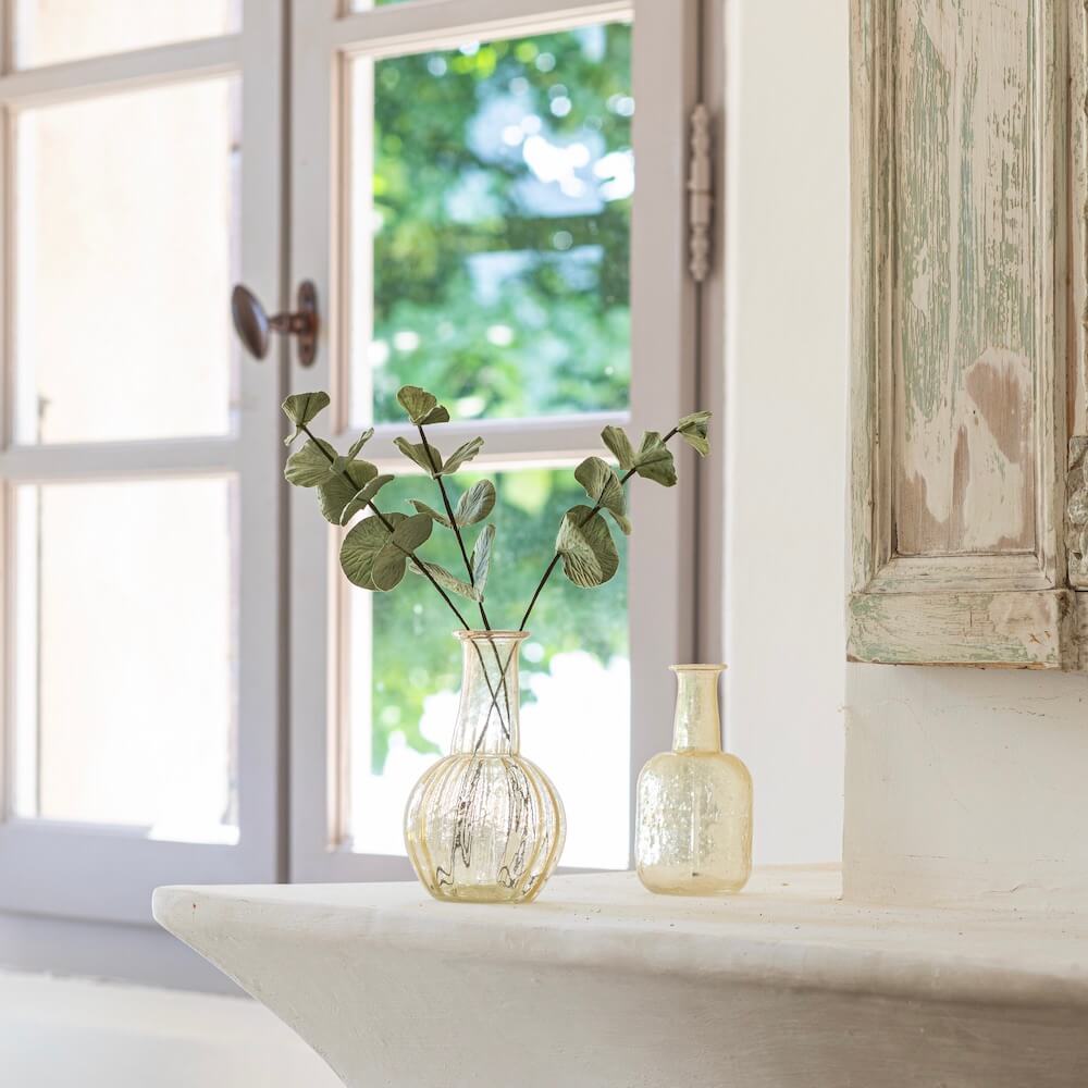 Eucalyptus Cinerea En Papier Vert Olive