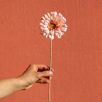 Gerbera En Papier Abricot
