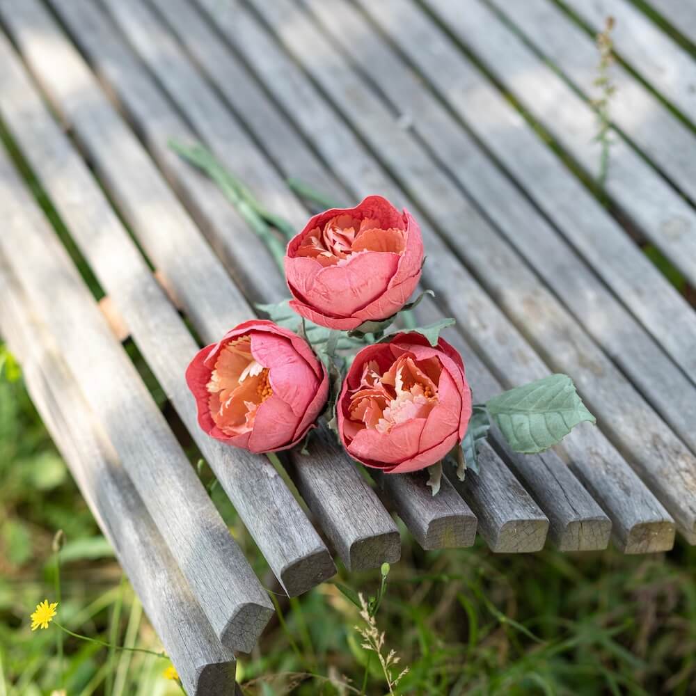 Pivoine De Jardin En Papier Corail