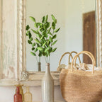 Ruscus En Papier Vert