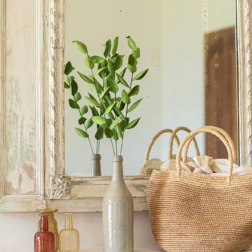 Ruscus En Papier Vert