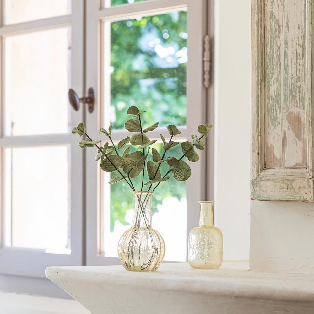 Eucalyptus Cinerea En Papier Vert Olive